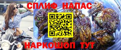 прущие крисы Кунгур