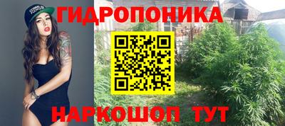 прущие крисы Кунгур