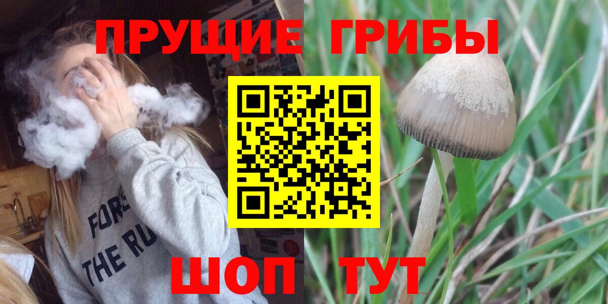 Кемерово  Псилоцибиновые грибы Psilocybe  Вход с VPN 
