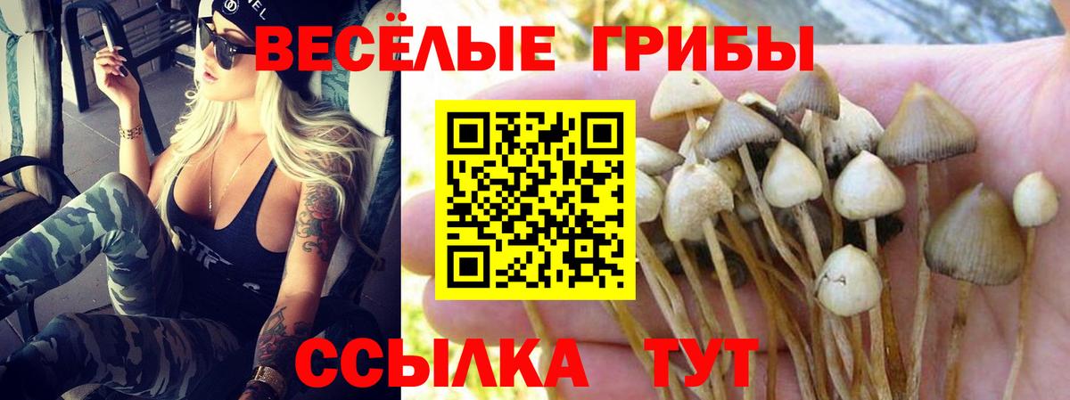 Галлюциногенные грибы мицелий Кемерово